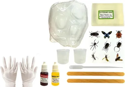 Image de LEAN Toys 6788 Kit créatif ambre préhistorique avec insectes