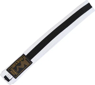 Produktbild von TEKKA BUDO Kampfsport Gürtel mit Mittelstreifen weiß-schwarz 240 cm 2-farbig - Budogürtel, Karate, Judo, Taekwondo, Ju-Jutsu