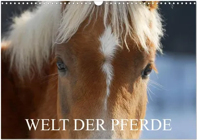 Produktbild von Welt der Pferde (Wandkalender 2026 DIN A3 quer), CALVENDO Monatskalender