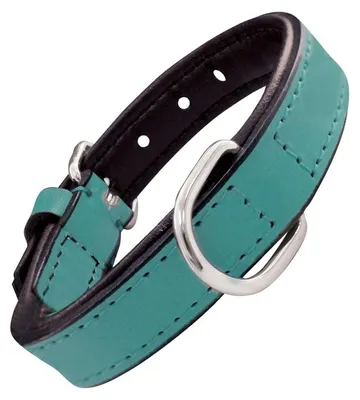 Productafbeelding van Hondenhalsband Gloria, met turquoise padding (30 x 1,5 cm)