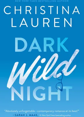 Produktbild von Dark Wild Night