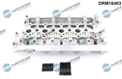 Obrázok produktu pre Hlava Motora Renault Espace 2.2Dci 00-