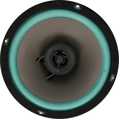 Zdjęcie produktu dla 1 szt. 6,5 cala 100 W samochodowy głośnik współosiowy HiFi do drzwi pojazdu Auto Audio Music Stereo Głośniki pełnozakresowe dla samochodów