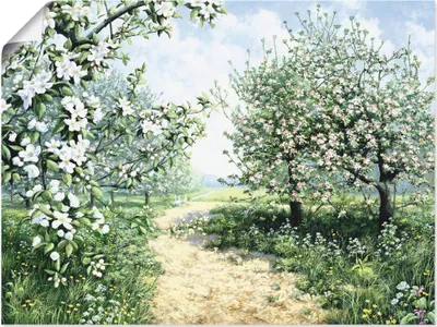 Produktbild von ARTland Poster Frühling I Größe: 80x60 cm