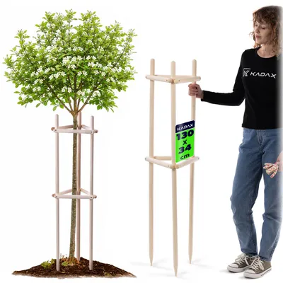 Produktbild von KADAX Baumstütze 130 cm aus robustem Holz, Baumpfahl zur sicheren Fixierung junger Bäume & Sträucher, dreibeinige Pflanzenstütze aus Buchenholz für Garten (Natur)