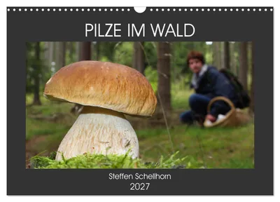 Produktbild von PILZE IM WALD (Wandkalender 2027 DIN A3 quer), CALVENDO Monatskalender