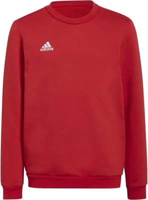 Produktbild von Adidas Sweatshirts Entrada 22 Sweat JR, H57473, Größe: 123