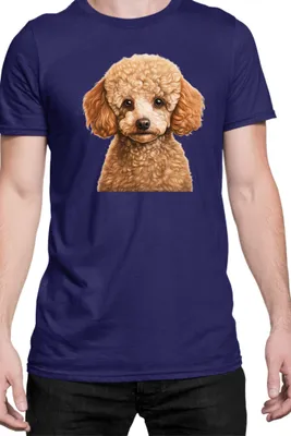 Obrázok produktu pre Mužské Tričko Dogs Breeds Poodle Dog Breed 005, Man L / Tmavomodrá