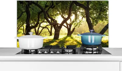 Obrázok produktu pre KitchenYeah® Splashback kitchen - Kuchynský splashback - Ochrana steny sporáka a drezu - Stromy - Príroda - Slnko 100x50 - Alu-Dibond (alternatíva skleneného splashbacku) - Tepelne odolný - Splashback na sporák - Kuchynský splashback