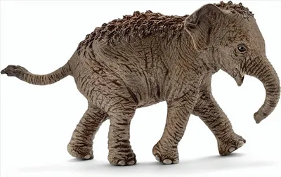 Produktbild von SCHLEICH 14655 - Asiatisches Elefantenbaby