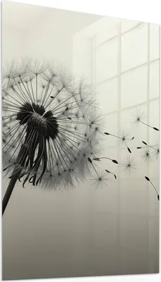 Produktbild von Glasbild 60x90cm in XXL für Wohnzimmer, Schlafzimmer Motiv Pusteblume Schwarz