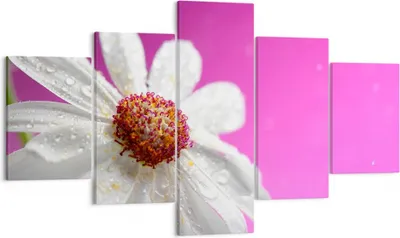 Produktbild von Bild auf Leinwand - Leinwandbild - Blume frühling garten - 125x70cm - Wand Bild - Wanddeko - Leinwanddruck - Bilder - Kunstdruck - Wanddekoration - Leinwand bilder - Wandkunst - EA125x70-2469