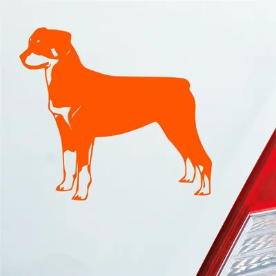 Produktbild von Auto Aufkleber Rottweiler Tier Hund Dog Animal 11x10 cm Orange Sticker Heckscheibenaufkleber