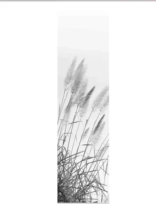 Produktbild von Schiebegardine Digitaldruck Pampas grau weiß 60x245 cm