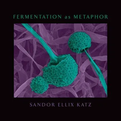 Image de Fermentation as Metaphor
