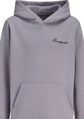 Produktbild von Jack & Jones Junior Kapuzenpullover DUST SCRIPT Hoodie