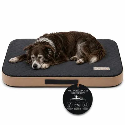 Produktbild von Orthopädische Hundematratze Hundebett Gelenkschonend L 100x75 cm Graphit, KI-generiertes Bild