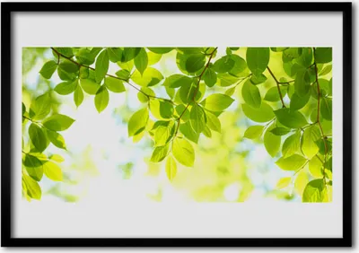 Produktbild von Bild 100x70 MDF-Rahmen Wandkunst Blätter Natur Pflanze