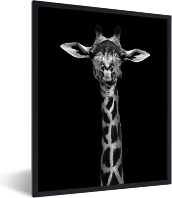 Produktbild von MuchoWow® Gerahmtes Poster Giraffe - Tiere - Porträt - Schwarz 60x80 cm - Poster mit Schwarzem Bilderrahmen Wandposter Rahmen Foto Bilder - Premium - Wanddeko Wohnzimmer