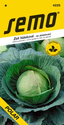 Obrázek produktu pro Zelí hlávkové Polar