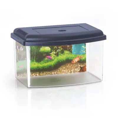 Image de COBBYS PET Aquarium en plastique 2, avec couvercle et fond 28x20x17,5cm  5,5l, 10155