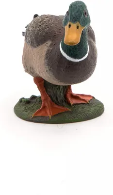 Image de Papo Farm Life Canard sauvage 51155