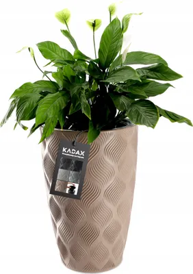 Image de KADAX Pot de fleurs avec insert "Jesi", bac à plantes en plastique, pot résistant aux UV, haut, 30 cm, beige