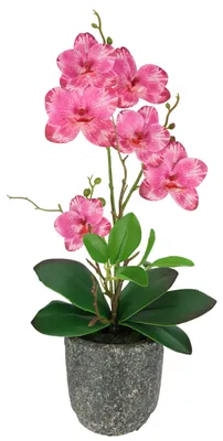 Zdjęcie produktu dla Sztuczna róża, motyl i orchidea z liśćmi i korzeniami powietrznymi, umieszczone w doniczce ceramicznej
