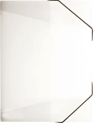Obrázok produktu pre Brunnen Sammelmappe FACT!pp DIN A4 weiß