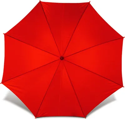 Image de L-merch Parapluie automatique en bois Cork