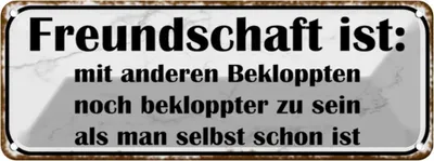 Produktbild von vianmo Blechschild 10x27 cm Freundschaft ist noch bekloppter Spruch Zitat