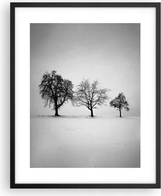 Produktbild von Gerahmtes Poster - Schwarzer Rahmen - Winter Bäume Schnee - 40x50 cm - Wand Bild - Wanddeko - Wandbilder - Kunstposter - Wandposter - Bilderrahmen - Bilder - Kunstdruck - P2BPA40x50-4958