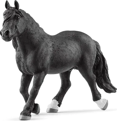 Zdjęcie produktu dla schleich 13958, 3 lat(a), Horses, Czarny, Plastik