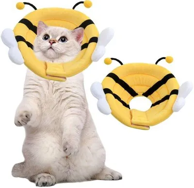 Image de Collier anti-abeilles miniaturisable pour chats et petits chiens