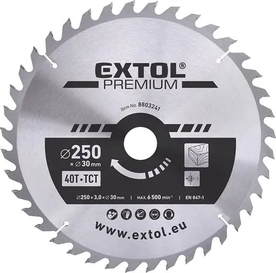 Image de kotouč pilový s SK plátky, O 250x3,0x30mm, 40T