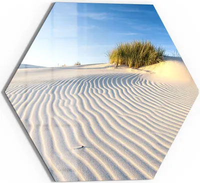 Produktbild von DEQORI Glasbild Echtglas 55x48 cm 'Sanddüne Ostseeküste' Wandbild Bild modern Deko