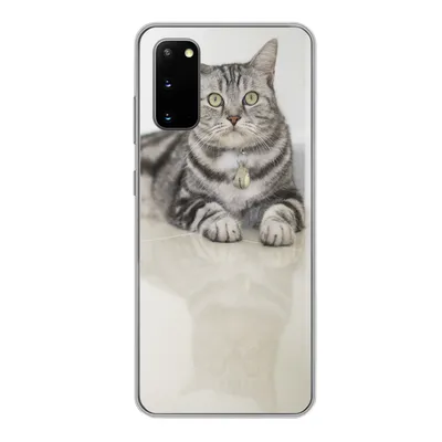 Produktbild von MuchoWow® Handyhülle Schutzhülle Hülle für Samsung Galaxy S20 Katze - Grau - Tier - Mädchen - Kinder - Jungen - Kind Silikon Softcase Handy Hülle - Bild
