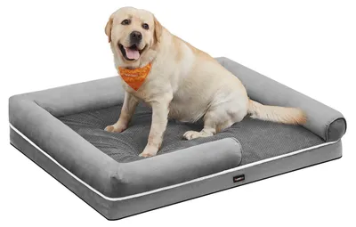 Produktbild von Feandrea Orthopädisches Hundebett, Hundekissen, Hundekorb, weiche Polsterung, Hundesofa, erhöhte Ränder, Bezug abnehmbar und waschbar, 135 x 107 x 23 cm, rutschfeste Unterseite, hellgrau PGW079G02V1