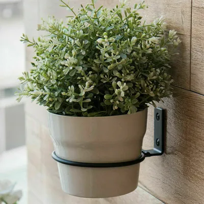 A potted plant is mounted on a wooden wall.