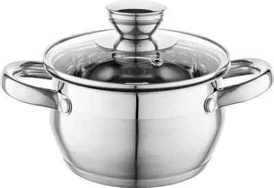 A stainless steel pot with a glass lid, shown from a slightly elevated front-diagonal angle on a white background.