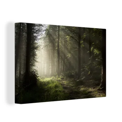 Obrázok produktu pre OneMillionCanvasses® - Maľba na plátne - Obraz na plátne Nástenná maľba na plátne - Les - strom - hmla - 150x100cm - Fotografia na plátne - maľba na