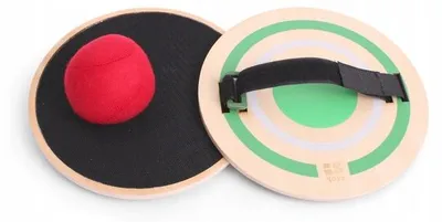 Immagine prodotto di BS Toys Gioco di legno per la cattura