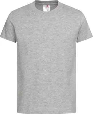 Produktbild von Stedman Kinder Klassik-T-Shirt AB275 (L) (Grau meliert)