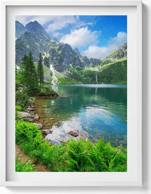 Produktbild von Bewaldete Berglandschaft– Wandbild mit Rahmen – Gerahmtes Bild  – Wanddekoration – 60x80 cm –  Weiß Rahmen