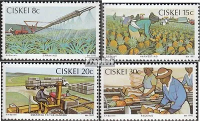 Produktbild von Briefmarken Südafrika - Ciskei 1982 Mi 26-29 (kompl.Ausg.) postfrisch Ananasanbau
