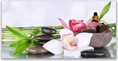 Produktbild von Glasbilder 140x70 Wandbild Druck auf Glas Bambusrohre Blume Steine Pflanzen