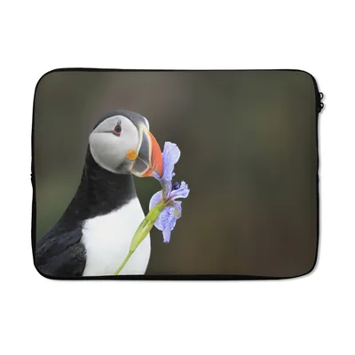 Produktbild von MuchoWow® Laptop Hülle 14 ZollRomantischer Papageientaucher Laptoptasche - Laptoptasche - Stoßsicher - Schutzhaube
