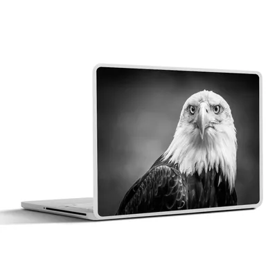 Produktbild von MuchoWow® Laptop Aufkleber Sticker Cover Adler - Raubvogel - Schwarz - Weiß - Tiere 36.5x27.5 cm - Laptop-Sticker