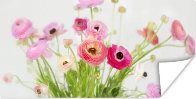 Produktbild von MuchoWow® Poster Stillleben - Blumen - Frühling 40x20 cm - Poster für die Wand - Poster Schlafzimmer