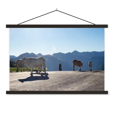 Produktbild von MuchoWow® Textilposter Schottische Highlander - Licht - Berge - Natur 60x40 cm mit schwarzem Rahmen - Hölzernes